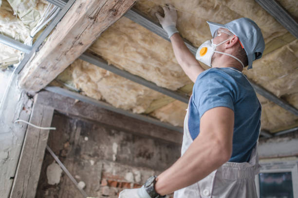 Best Fiberglass Insulation in Los Chaves, NM