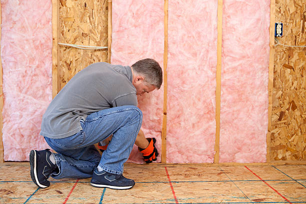 Best Cellulose Insulation in Los Chaves, NM